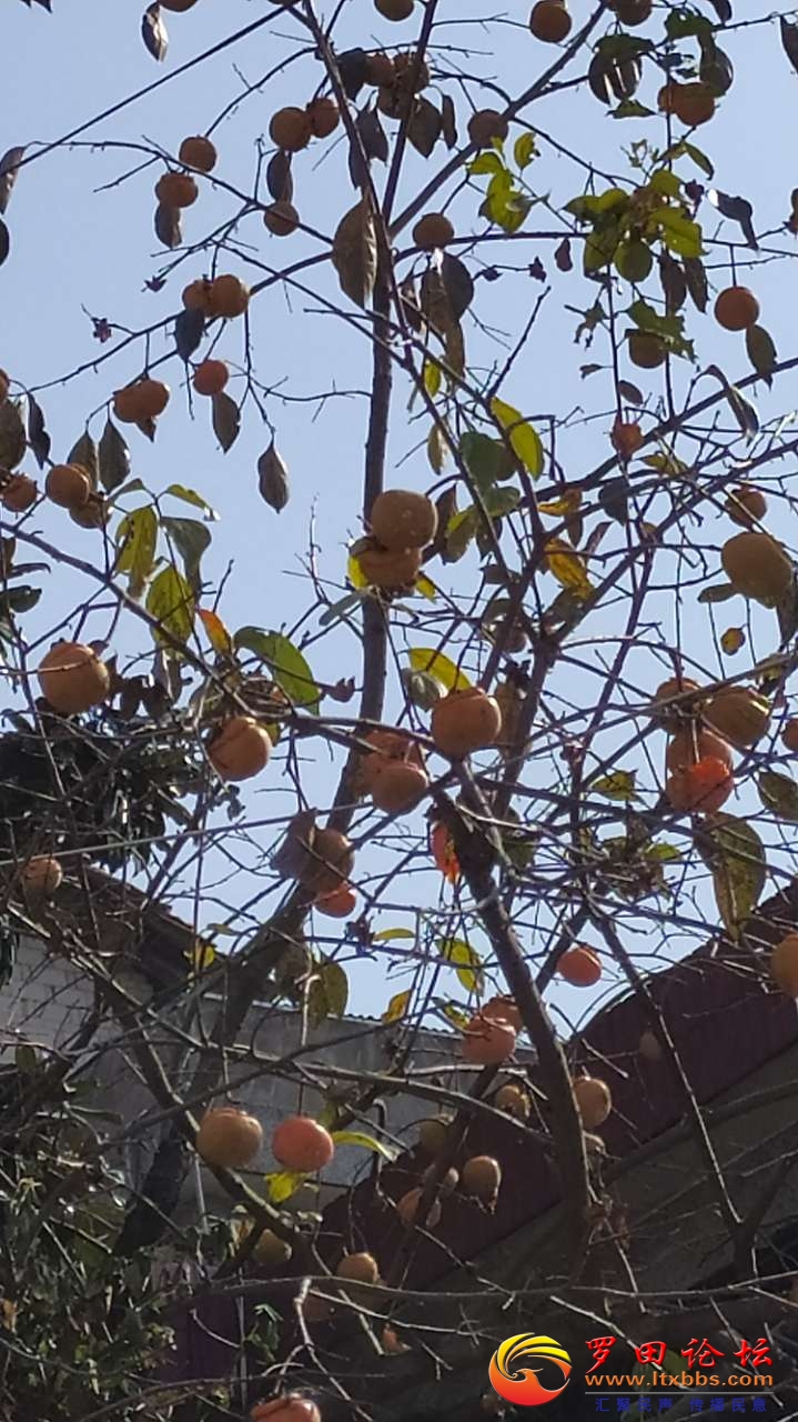 20201109_57696_1604902918334.jpg