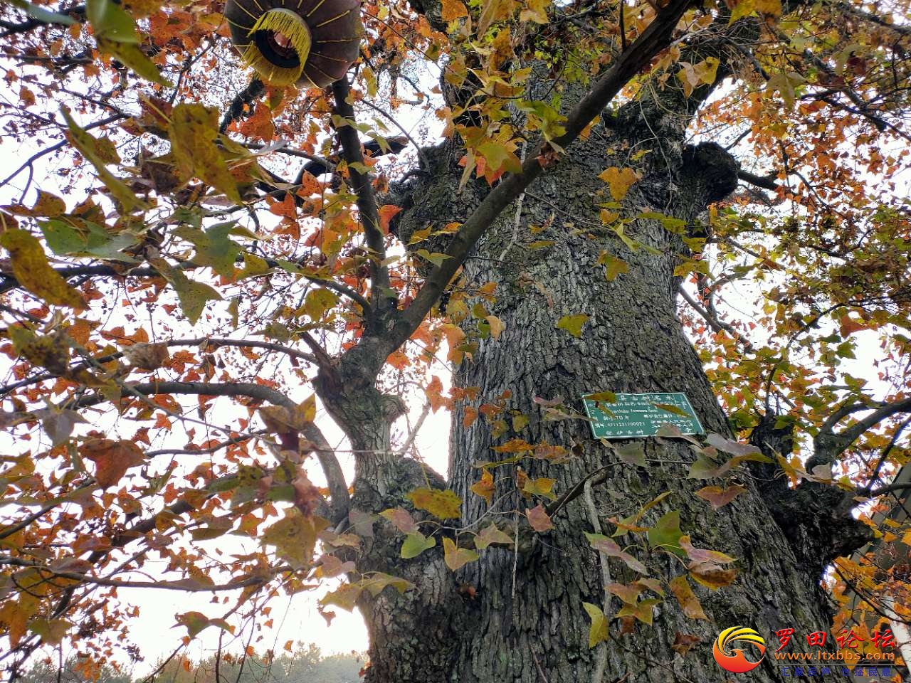 20201109_1160_1604933455785.jpg
