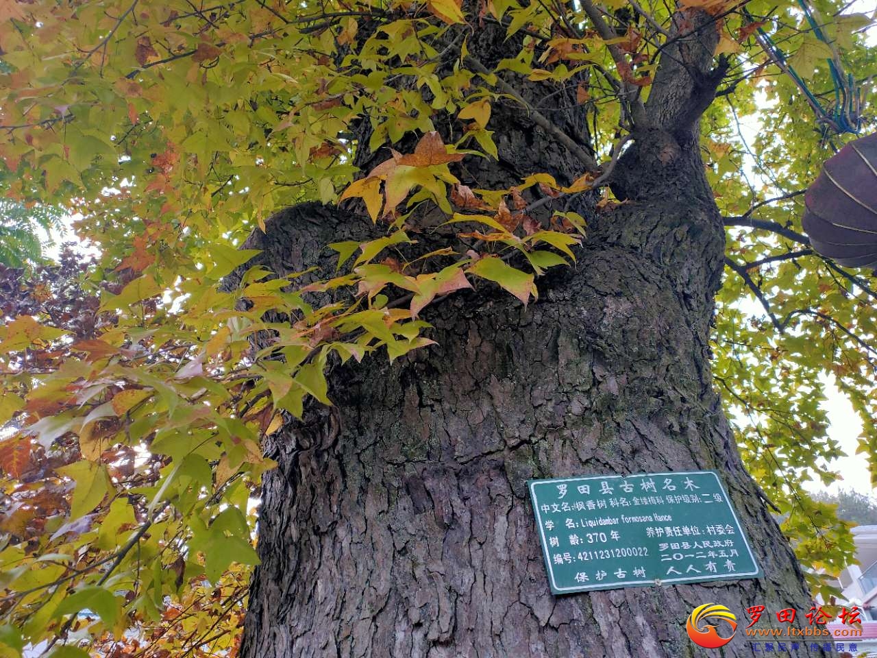20201109_1160_1604933455013.jpg