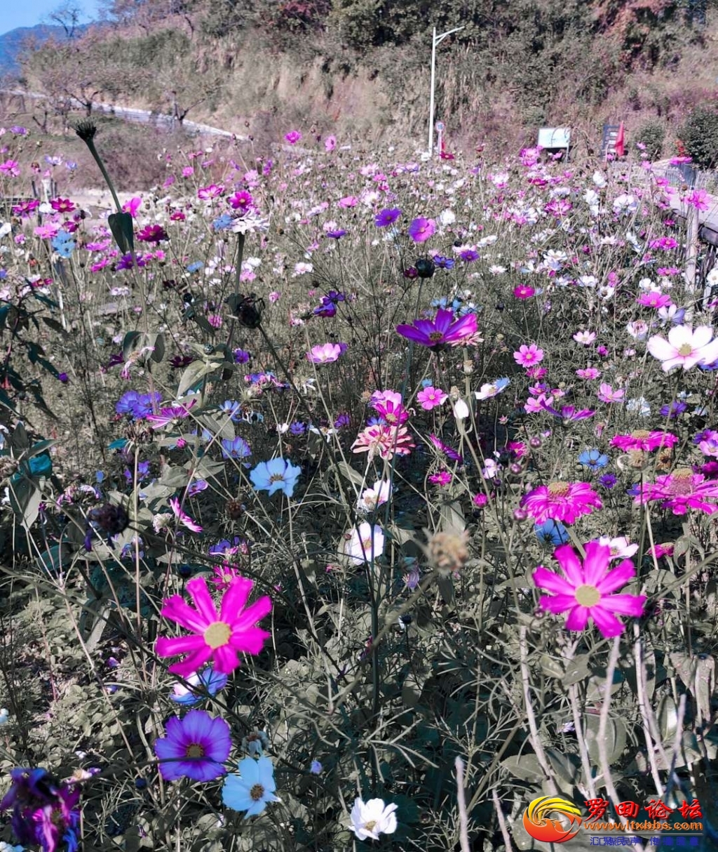 20201113_24724_1605238312995.jpg