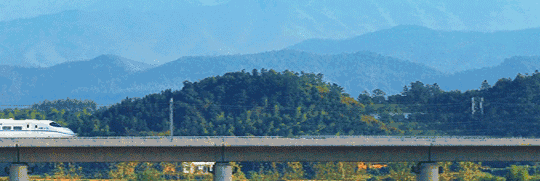 4.gif