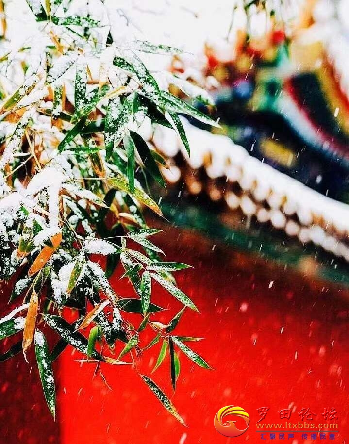 20201122_1160_1606004084576.jpg