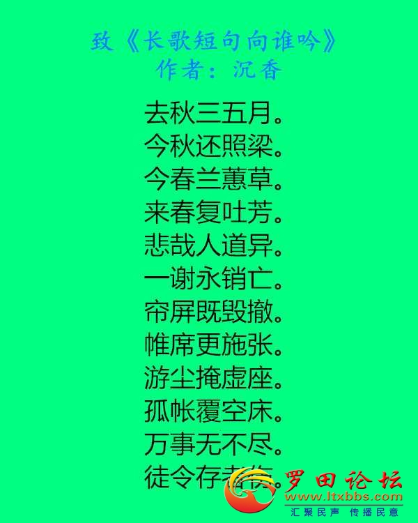 7051.jpg