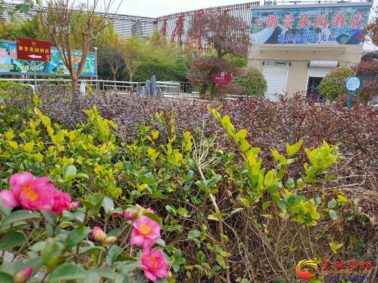 20201201_1160_1606814517573.jpg