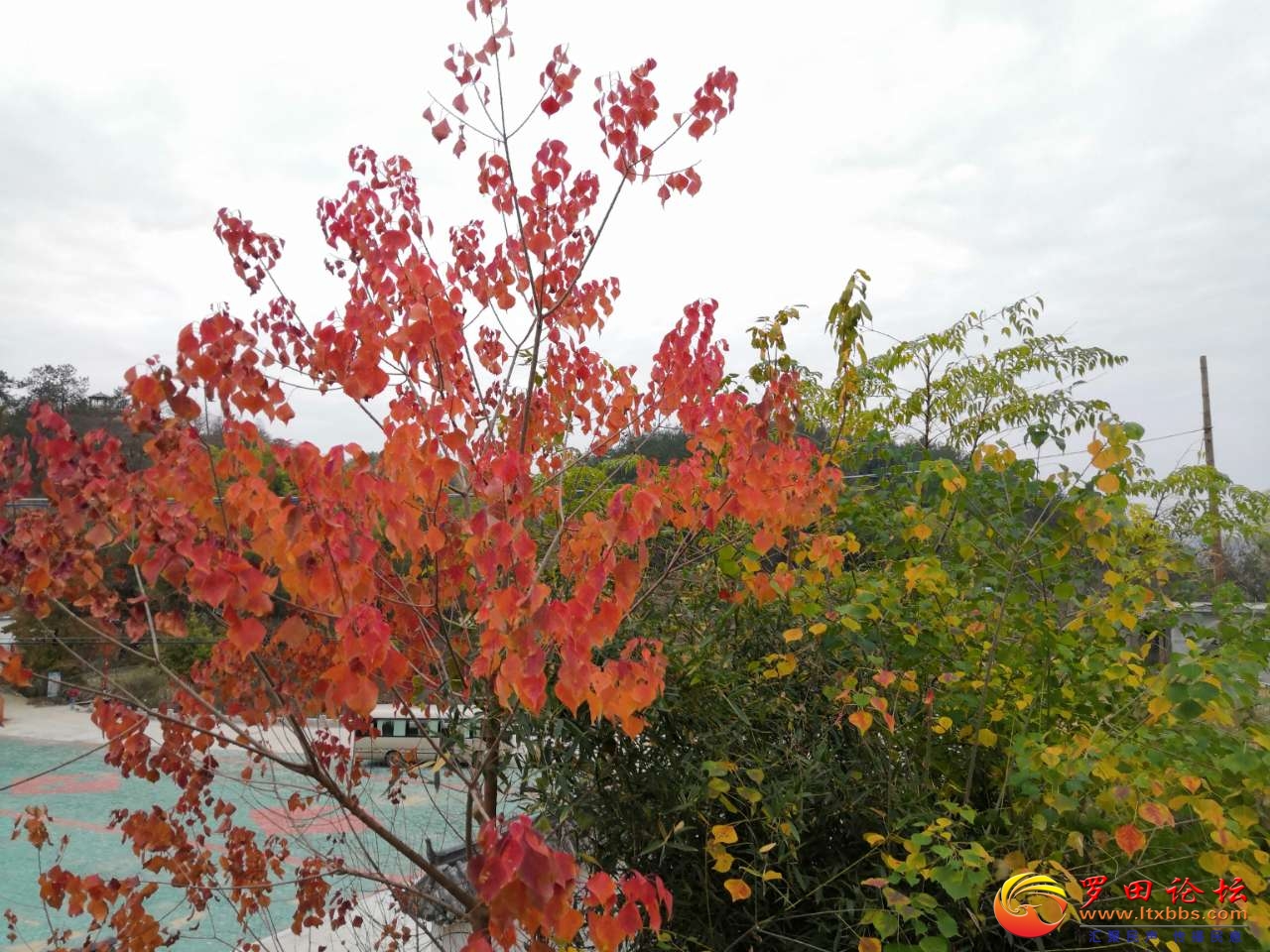20201205_1160_1607180255911.jpg