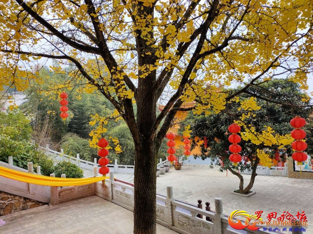 20201206_1160_1607235253441.jpg