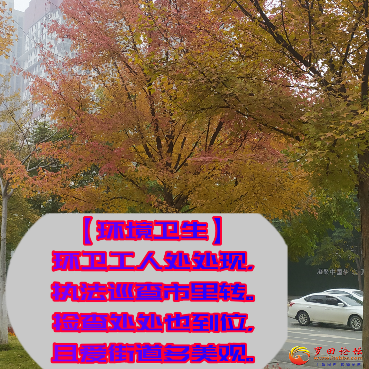 20201209_57696_1607513001730.png