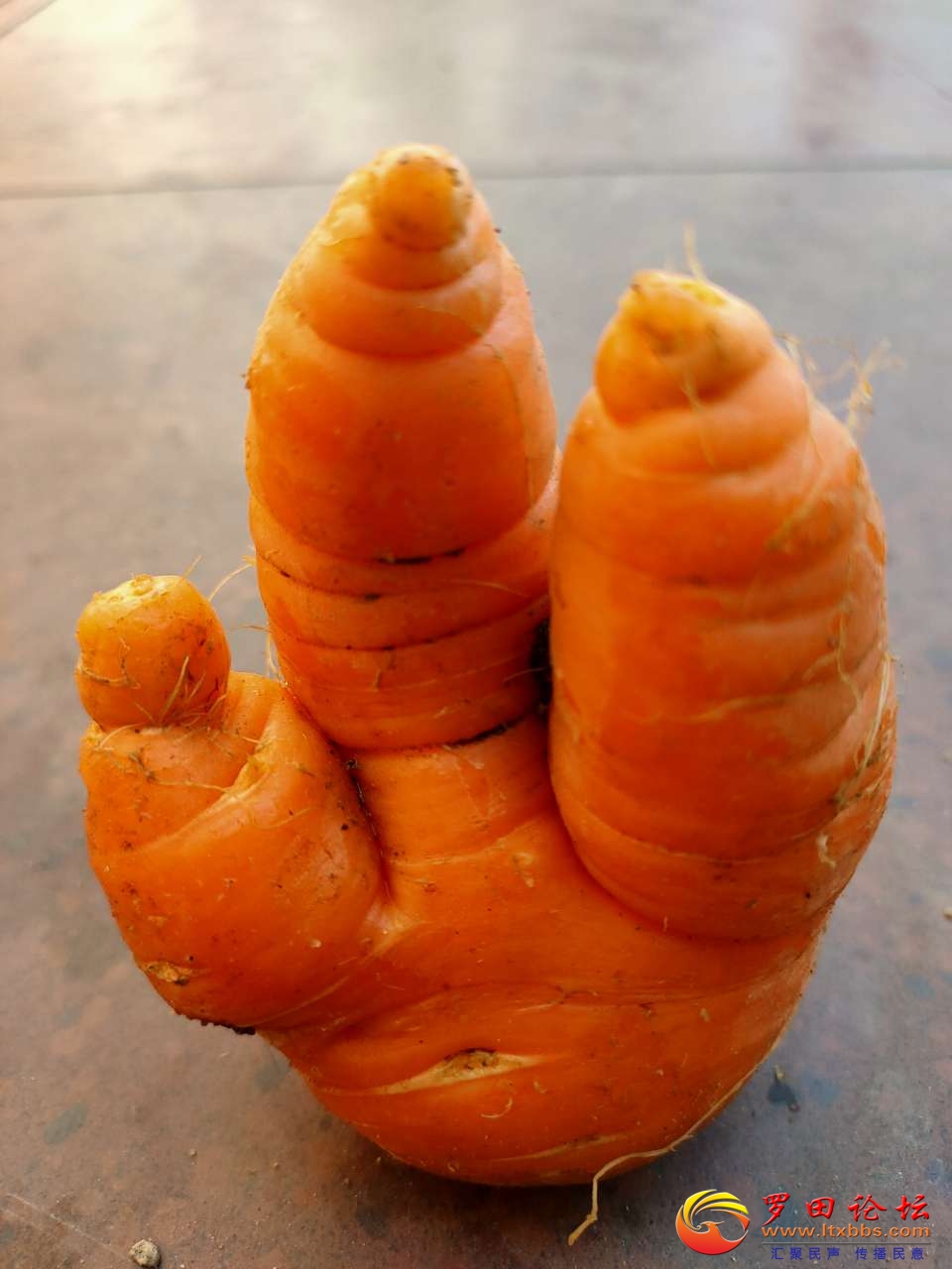 20201211_1160_1607667915327.jpg