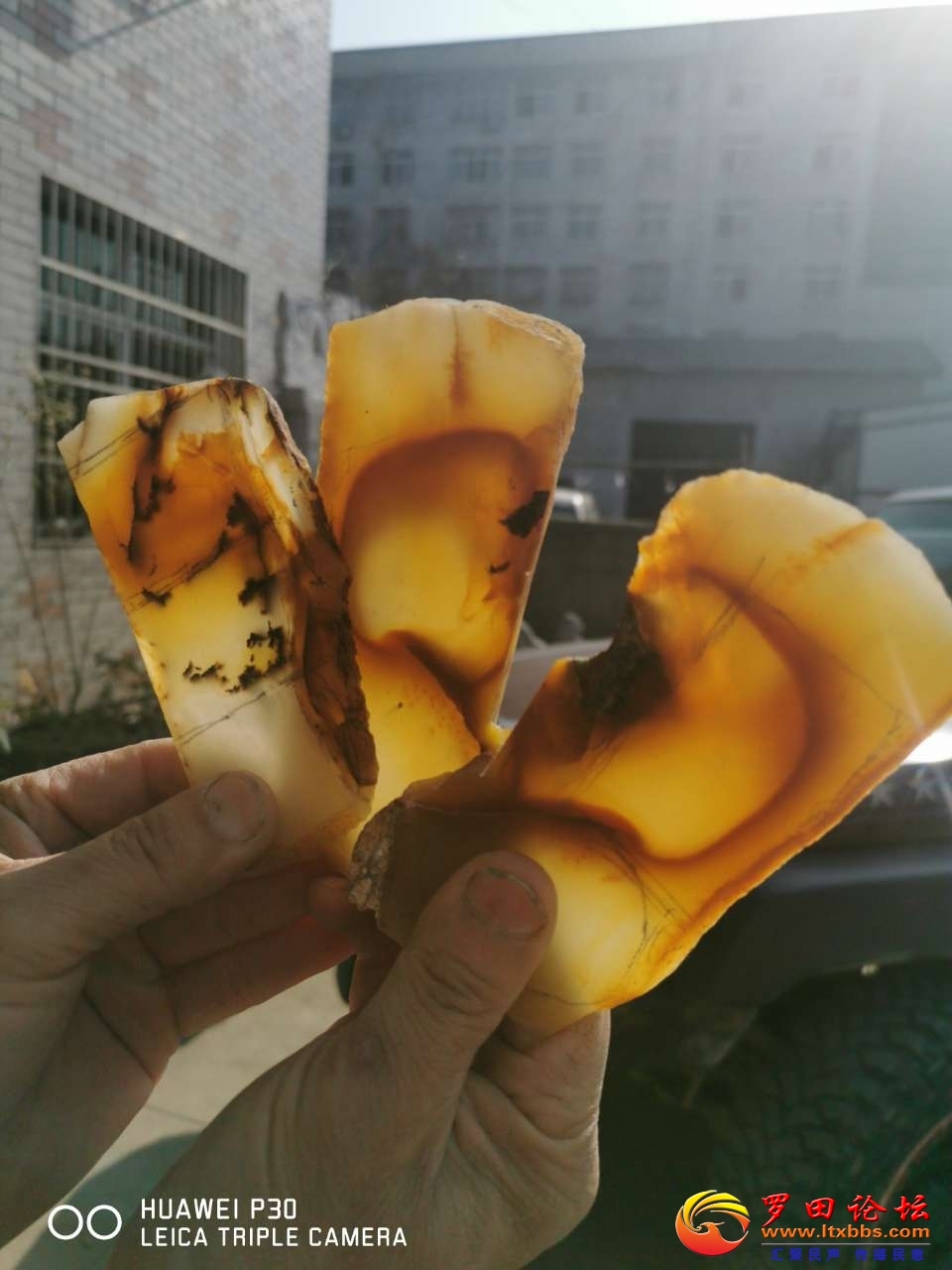 20201212_5669_1607759528845.jpg