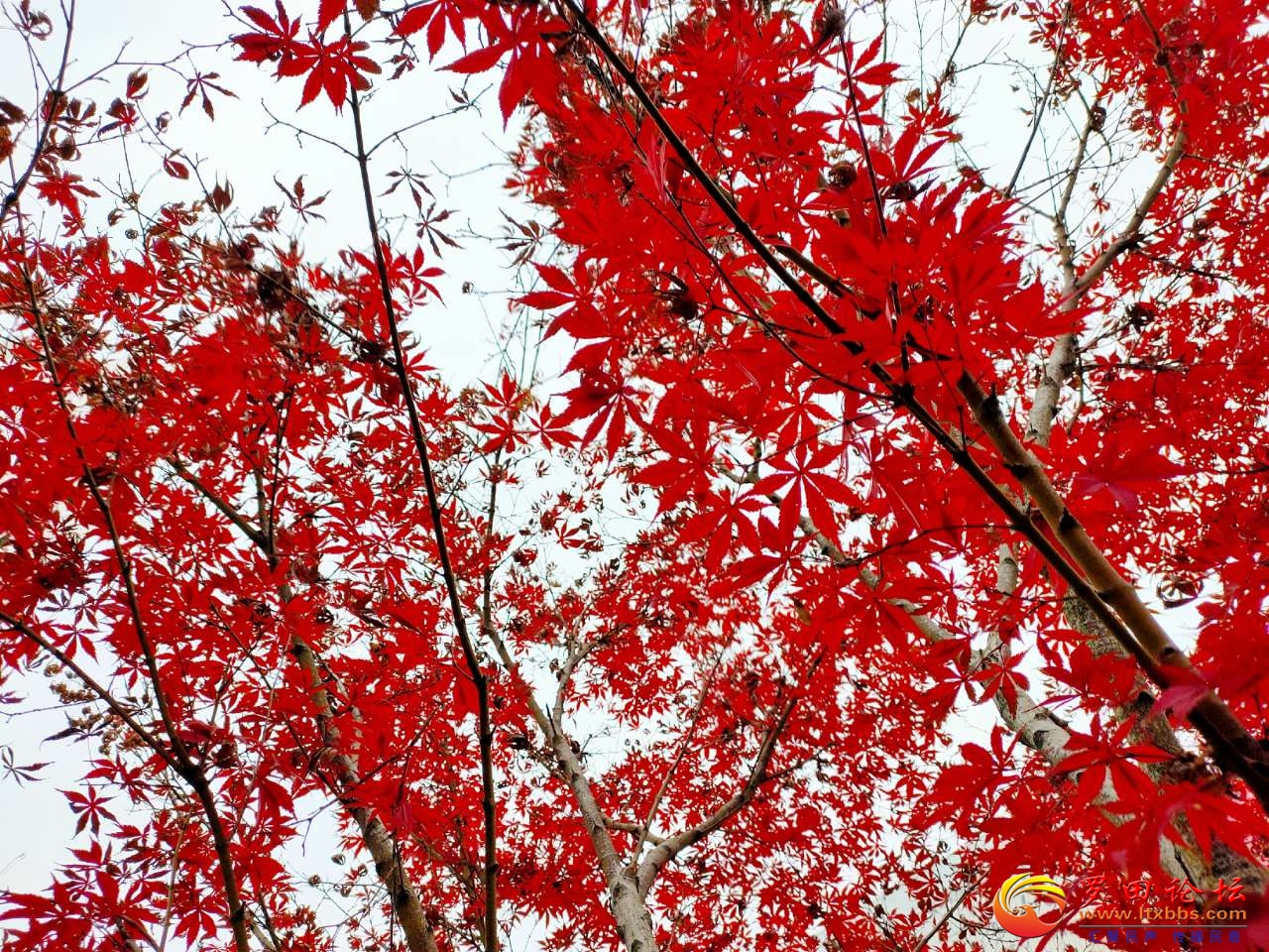 20201213_1160_1607855722417.jpg