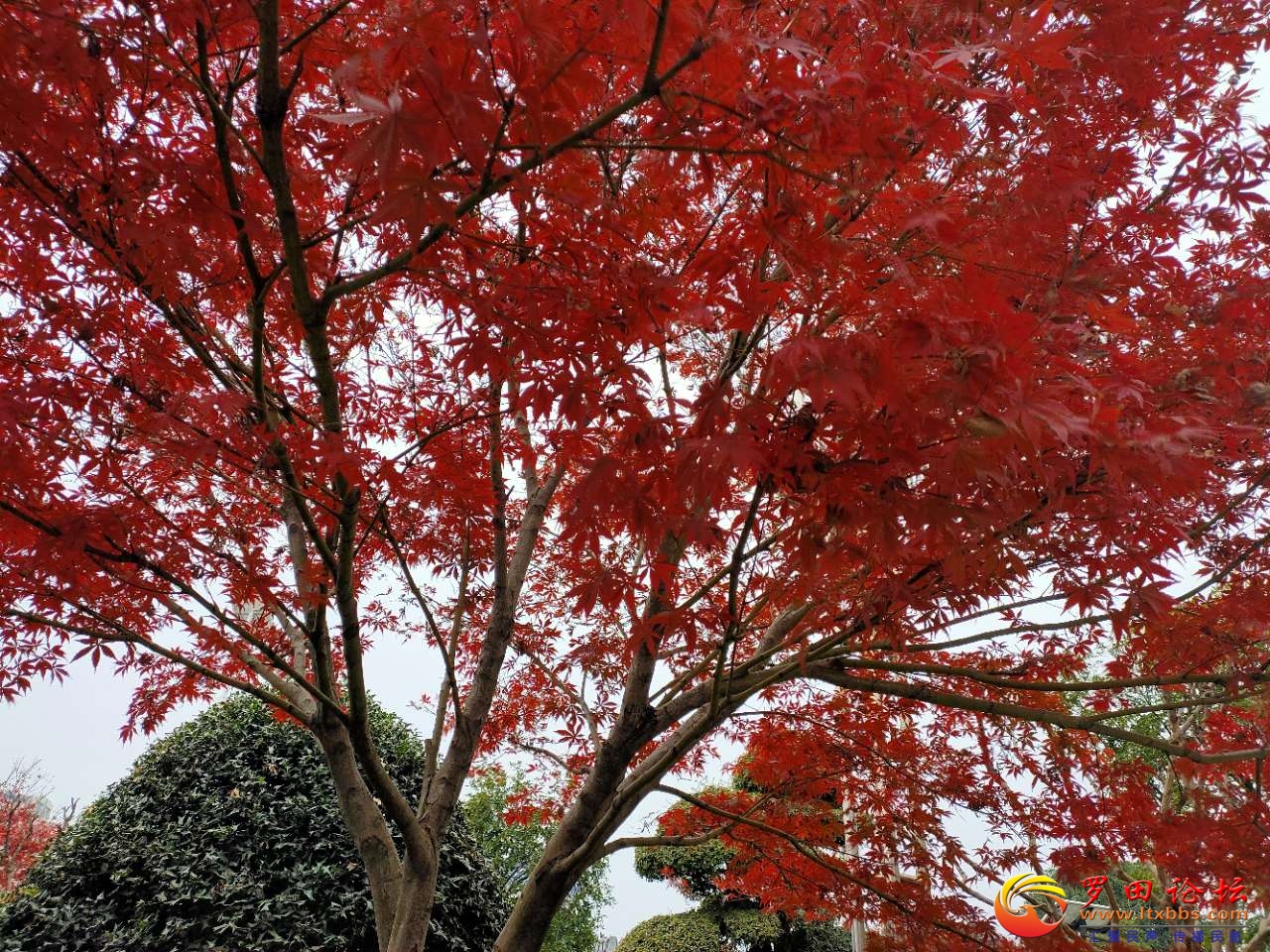 20201213_1160_1607855723059.jpg