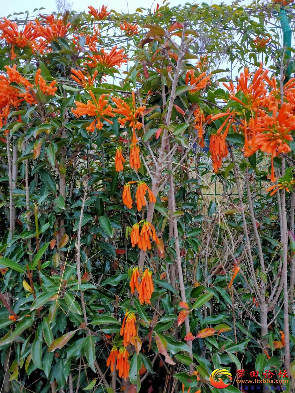 20201216_1160_1608049139484.jpg