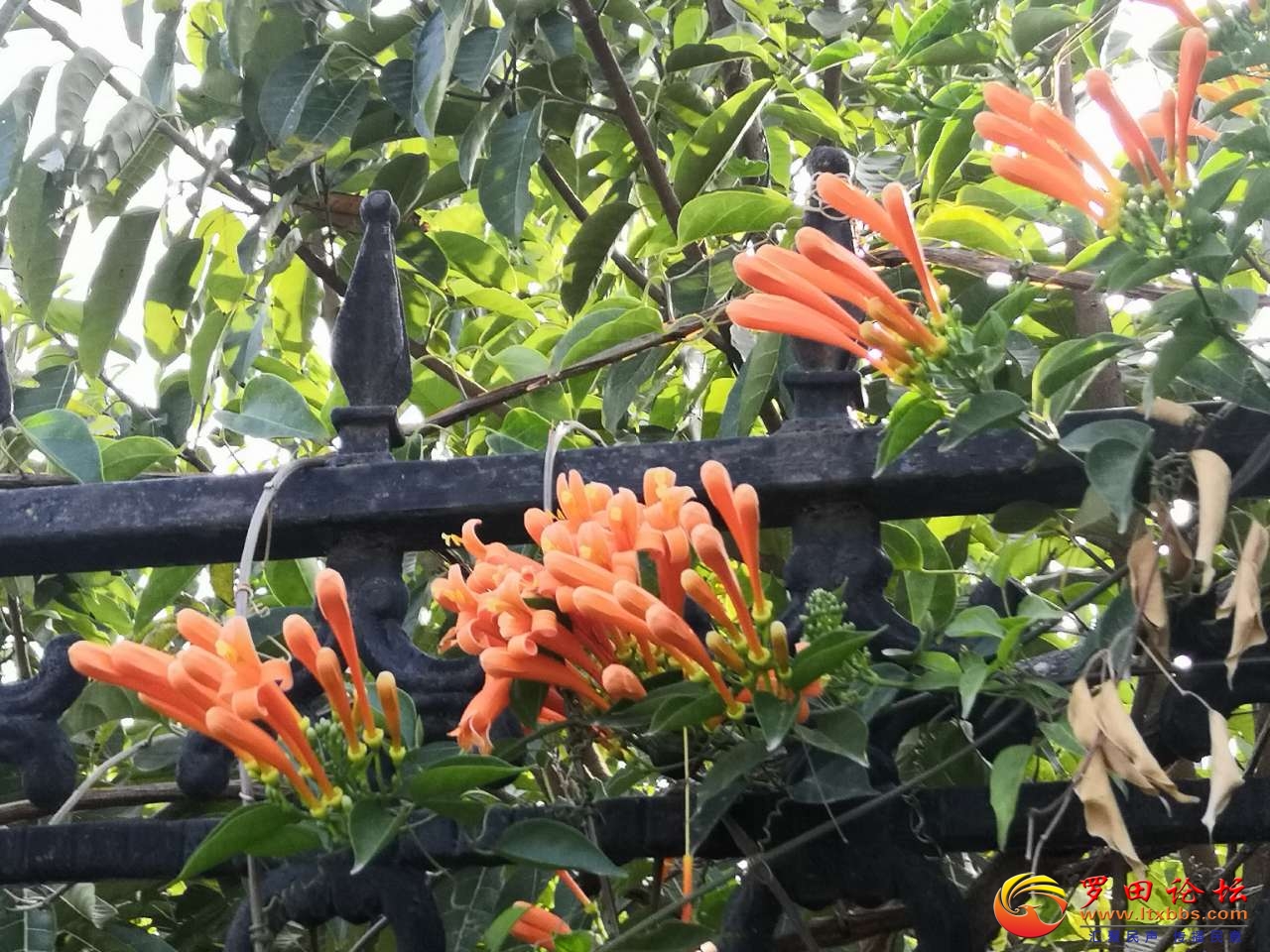 20201216_1160_1608049141278.jpg