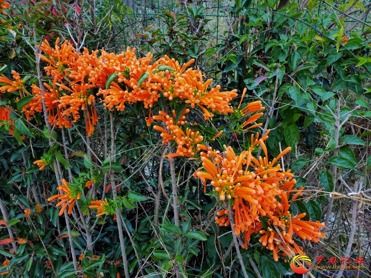 20201216_1160_1608049140196.jpg