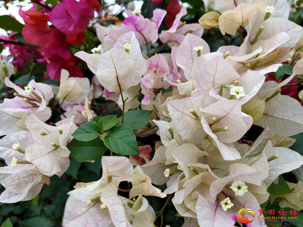 20201217_1160_1608207917957.jpg