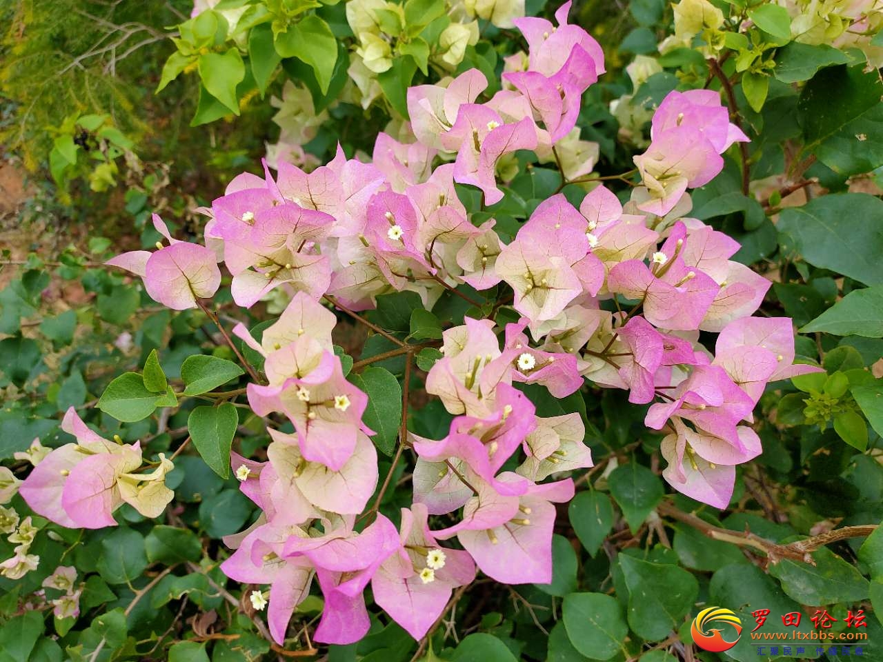 20201217_1160_1608207917037.jpg