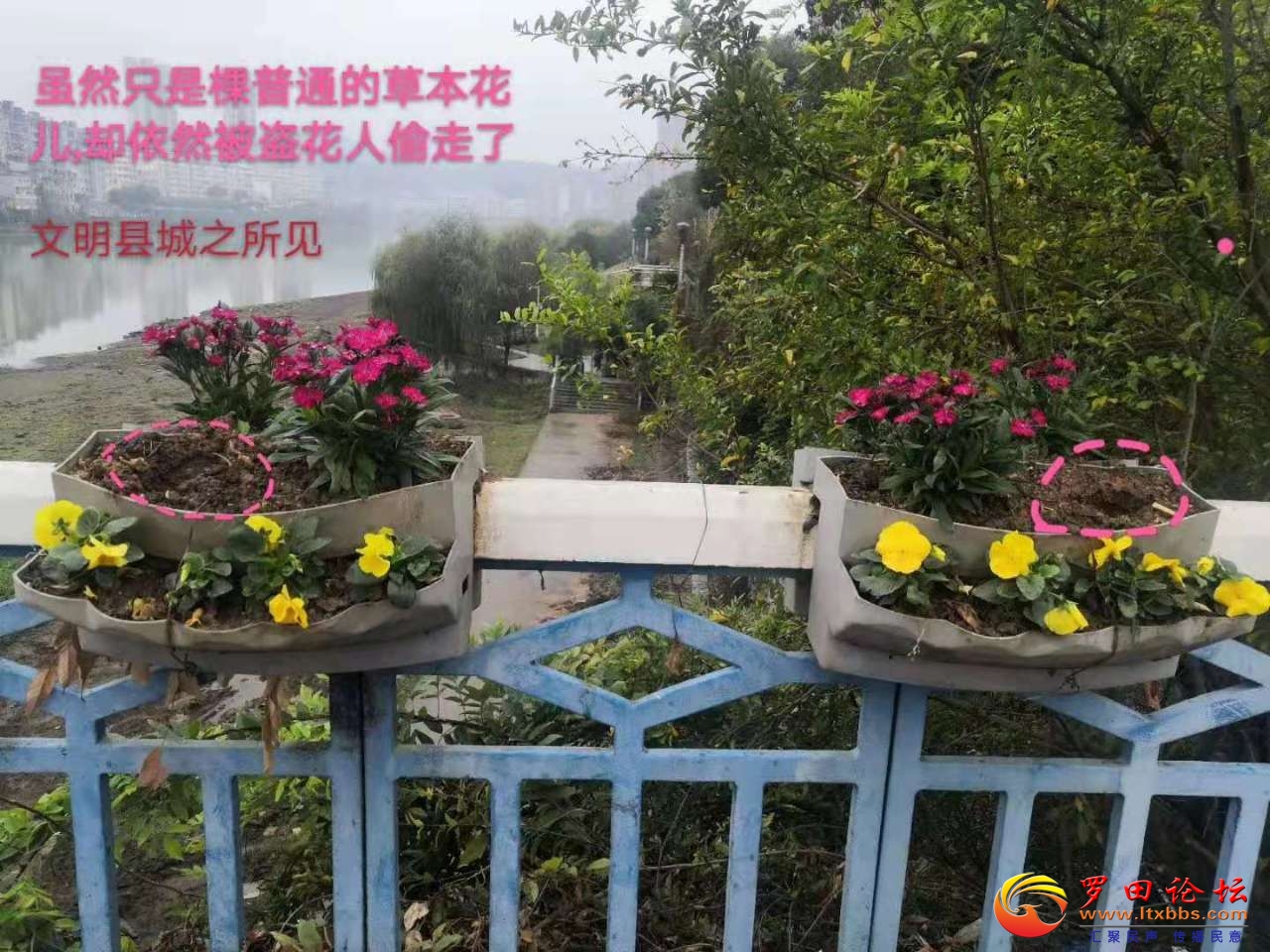 20201217_1160_1608210043748.jpg