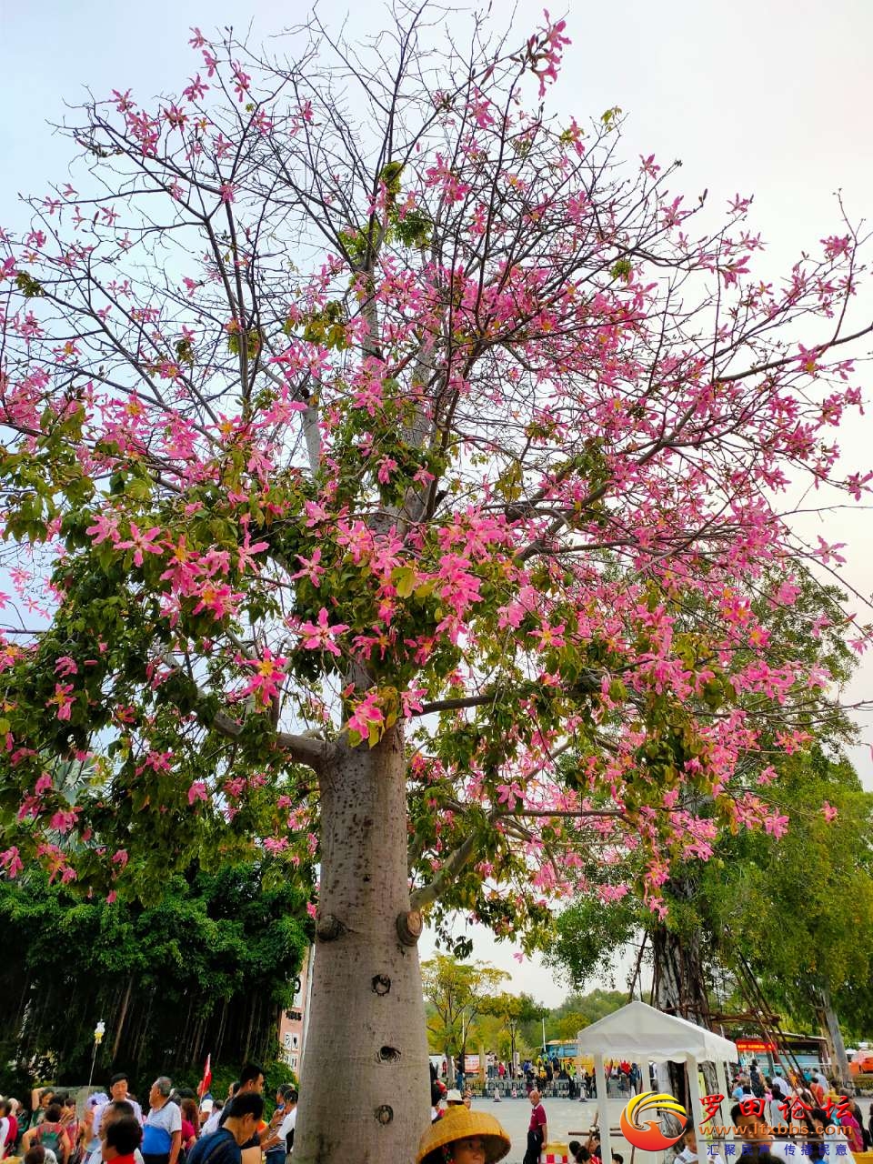 20201223_1160_1608724957704.jpg