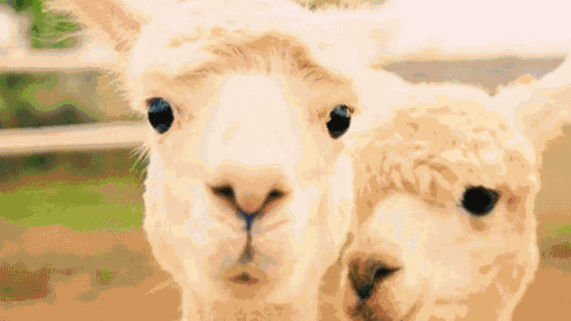 ΢ͼƬ_20201224163850.gif