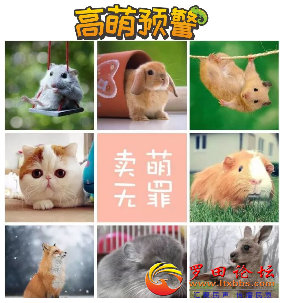 ΢Žͼ_20201224163930.png
