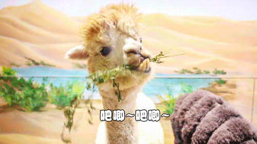 ΢ͼƬ_20201224164058.gif