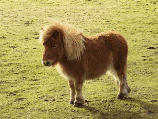 ΢ͼƬ_20201224164147.gif