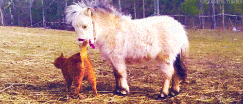 ΢ͼƬ_20201224164259.gif
