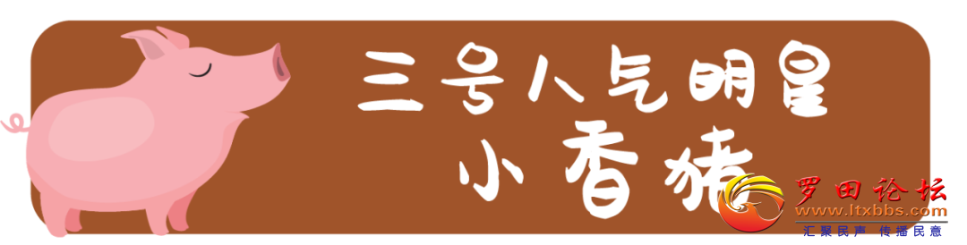 ΢ͼƬ_20201224164336.png