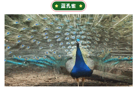 ΢Žͼ_20201224164747.png