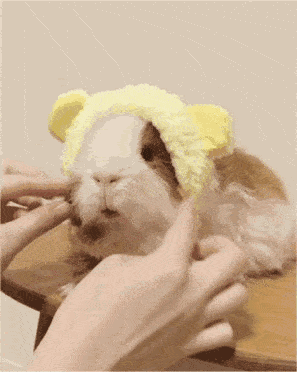 ΢ͼƬ_20201224164941.gif