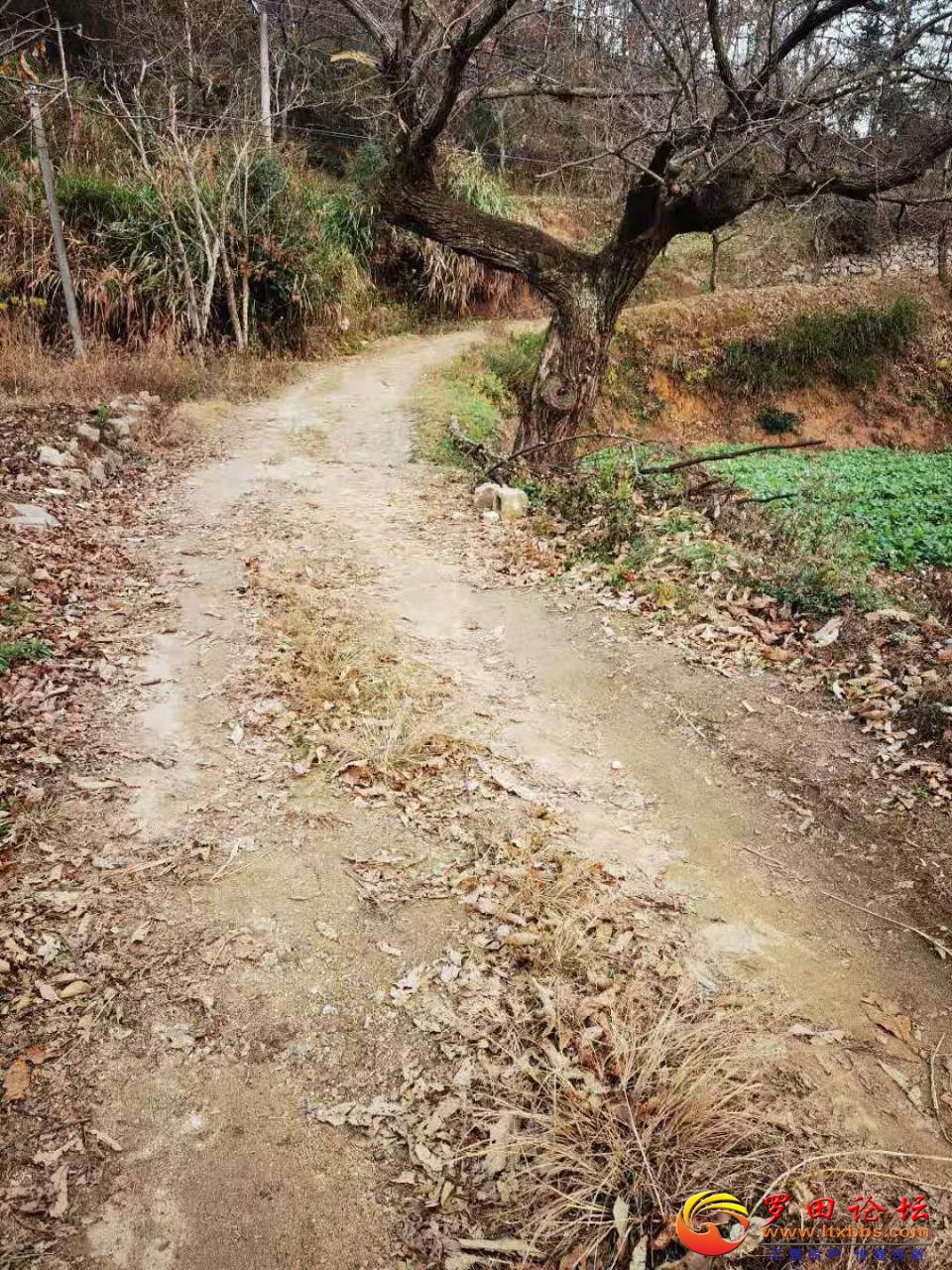 20201227_79471_1609061058698.jpg