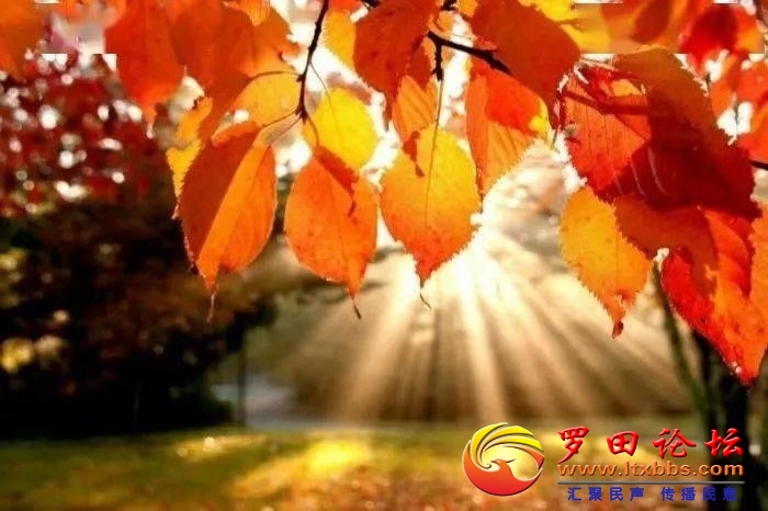 b&ek=1&kp=1&pt=0&bo=vALSAbwC0gEBFzA!&tl=1&su=2208890658&tm=1609815600&sce=0-12-12&rf=2-9