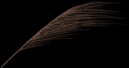 15706f7516fad12047ea77ba65e4dbc4.png