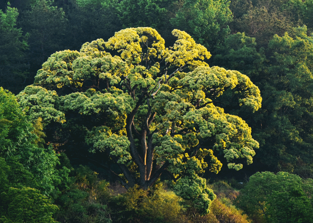 a67352b402a89c197225fb6e952d6a87.gif