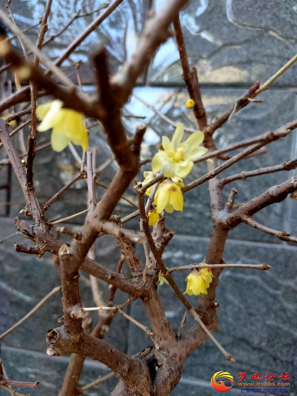 20210119_1160_1611063710058.jpg