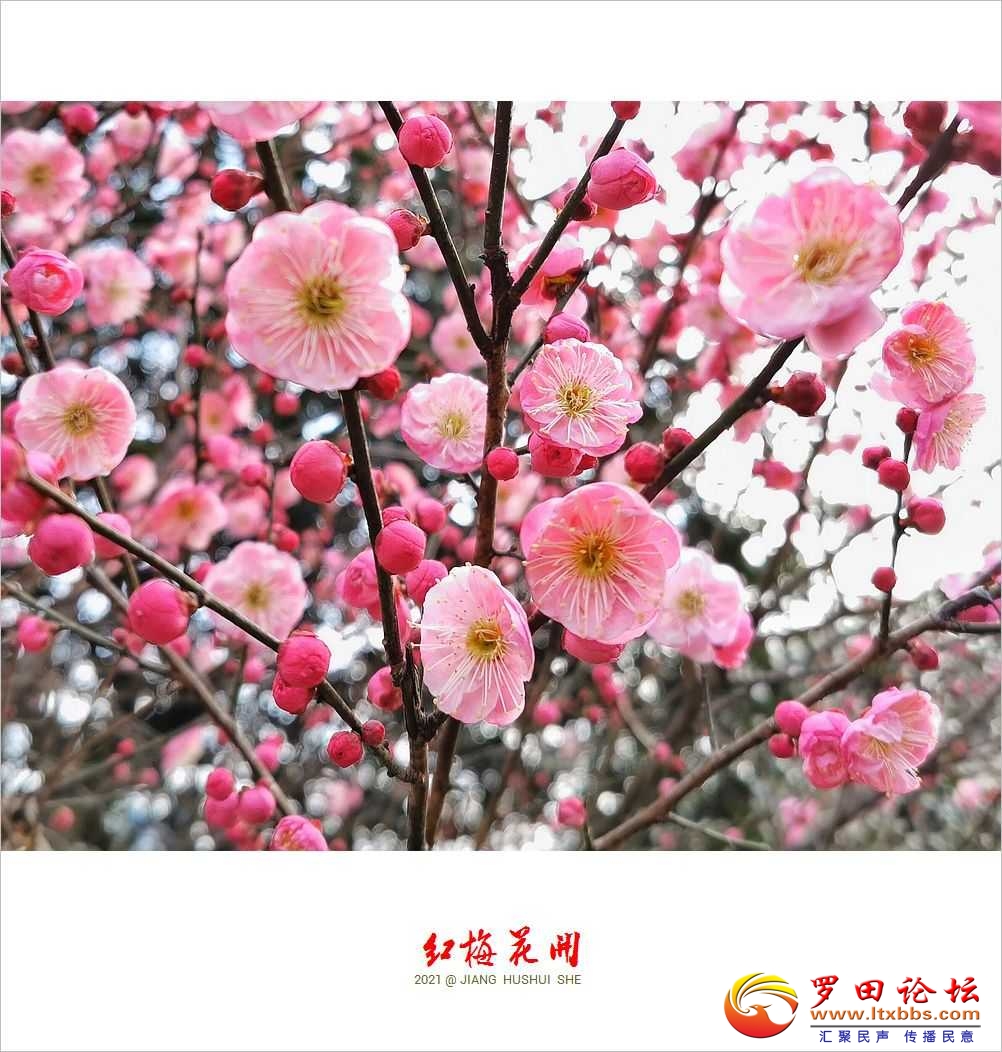 QQͼƬ20210204145501.jpg
