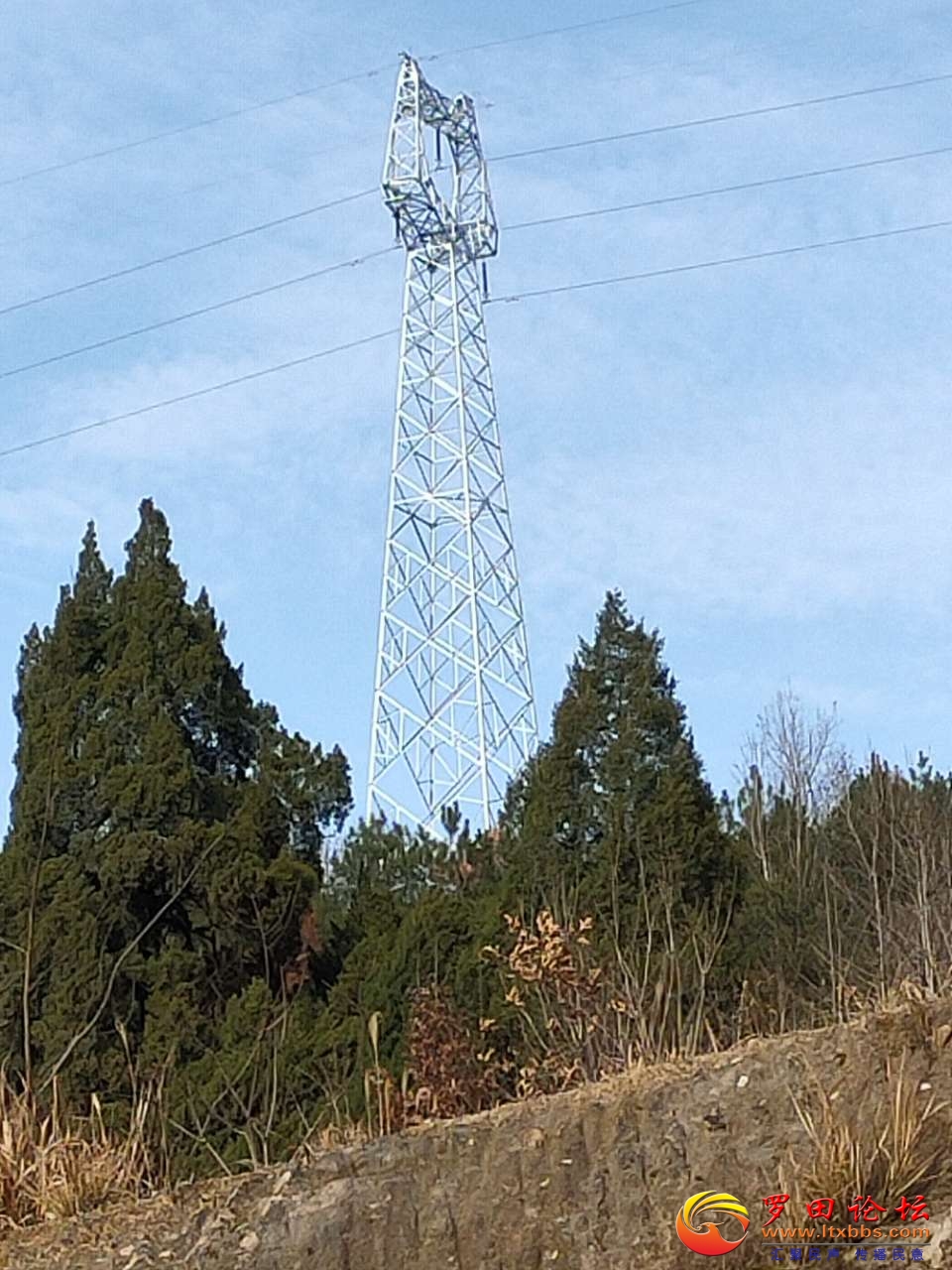 20210205_1160_1612539816326.jpg