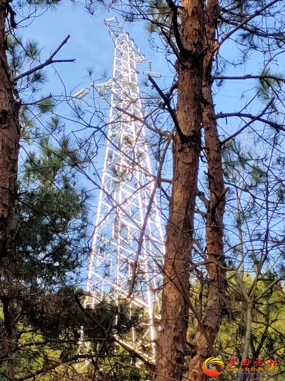 20210205_1160_1612539815725.jpg