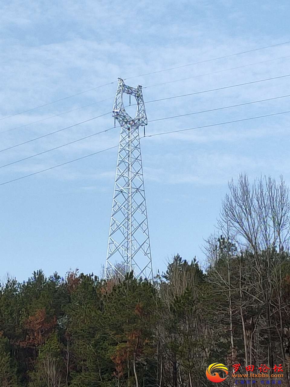 20210205_1160_1612539816049.jpg