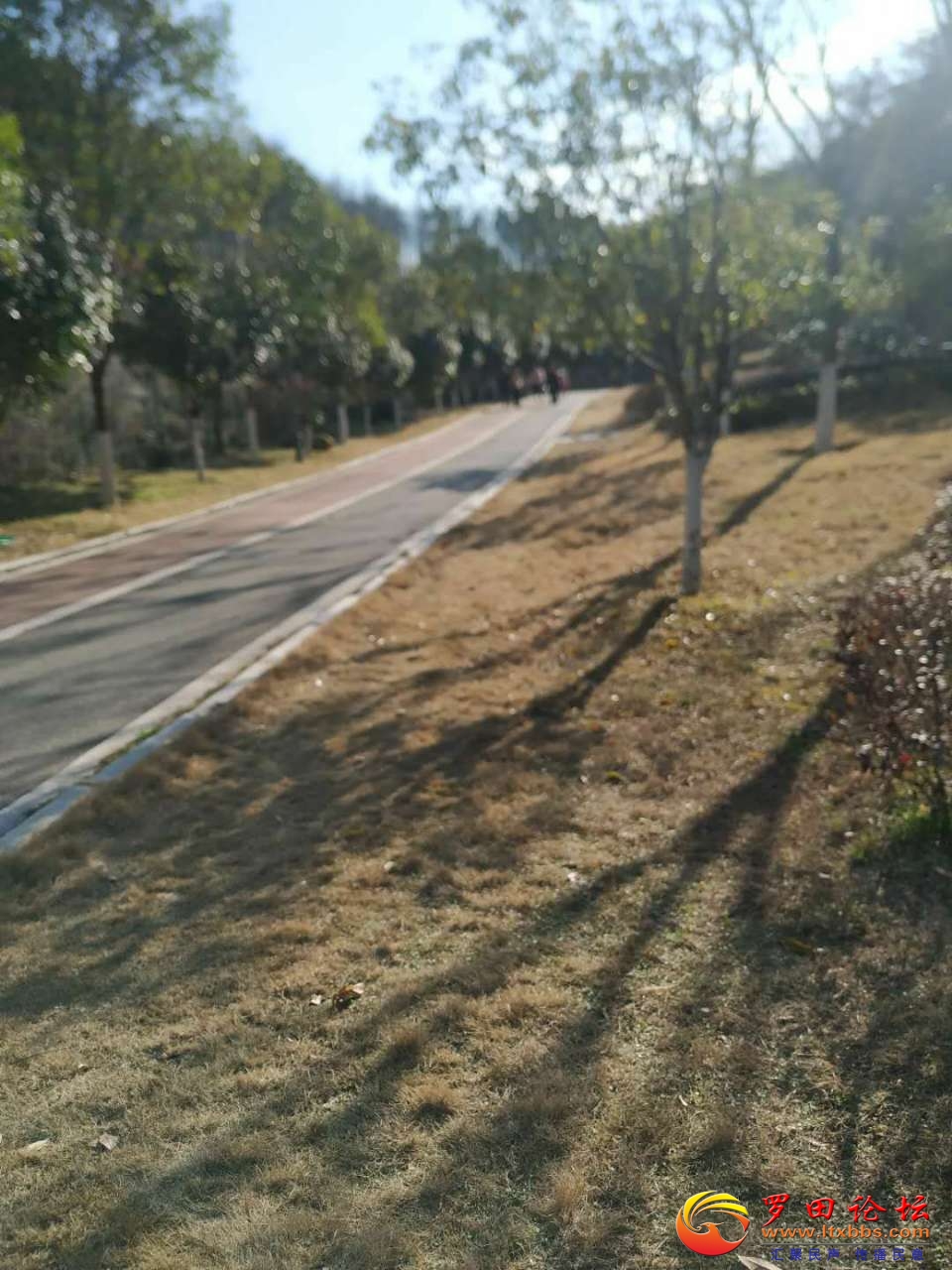 20210213_19516_1613206869851.jpg