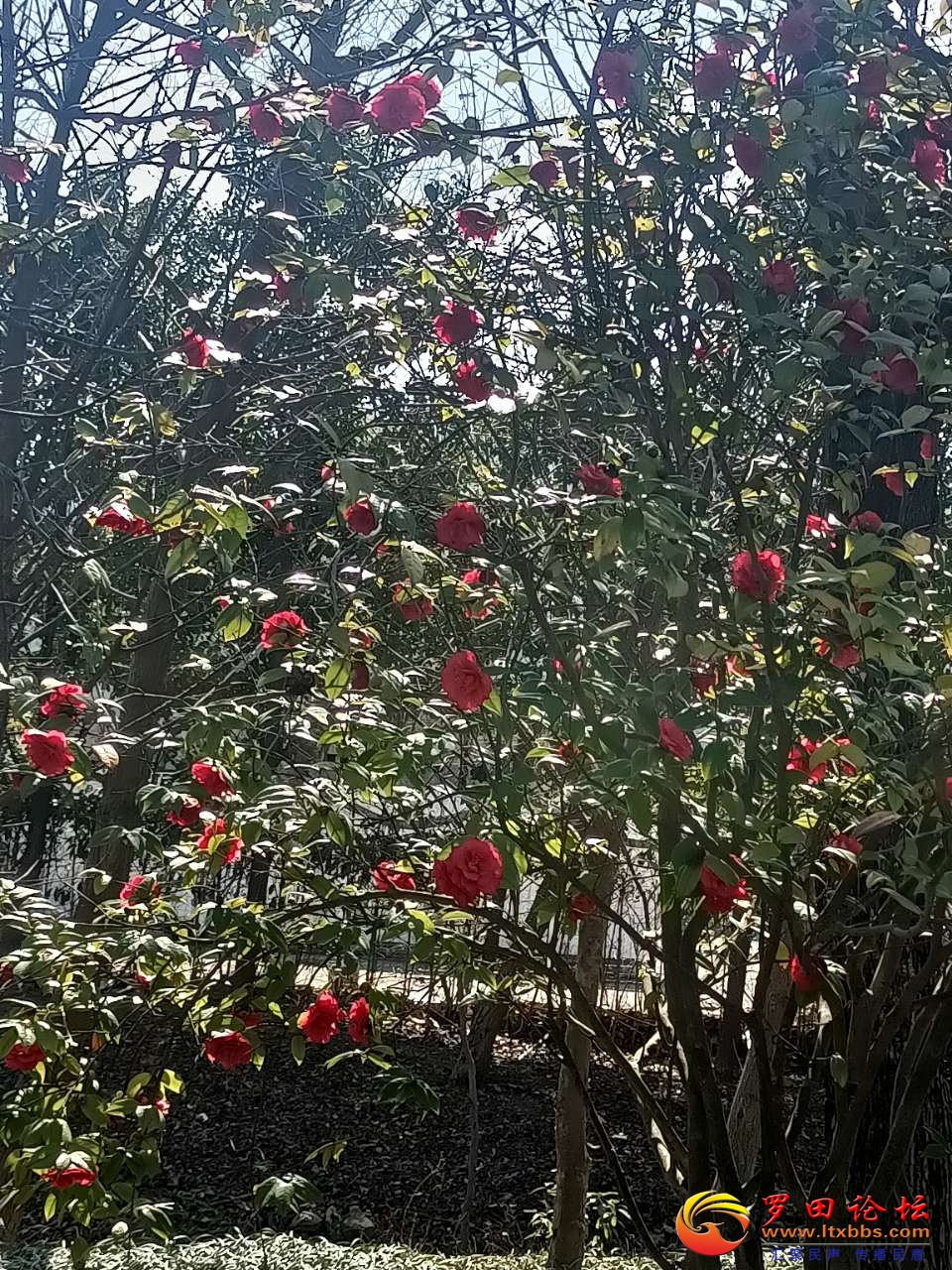 20210218_79372_1613625133962.jpg