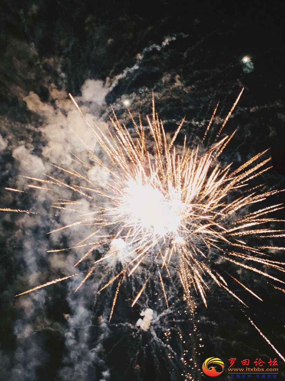 20210226_1160_1614355152811.jpg