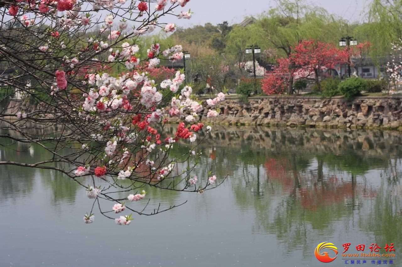 src=http___img1001.pocoimg.cn_image_poco_works_94_2011_0415_09_44711966201104150.jpg