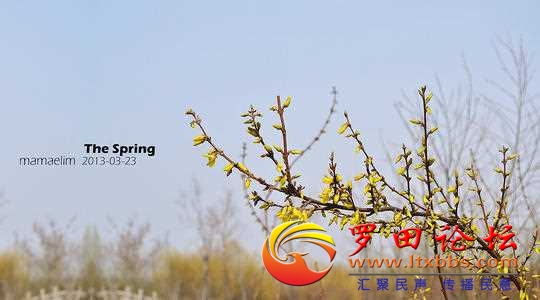u=1987282051,4130247098&amp;fm=26&amp;gp=0.jpg