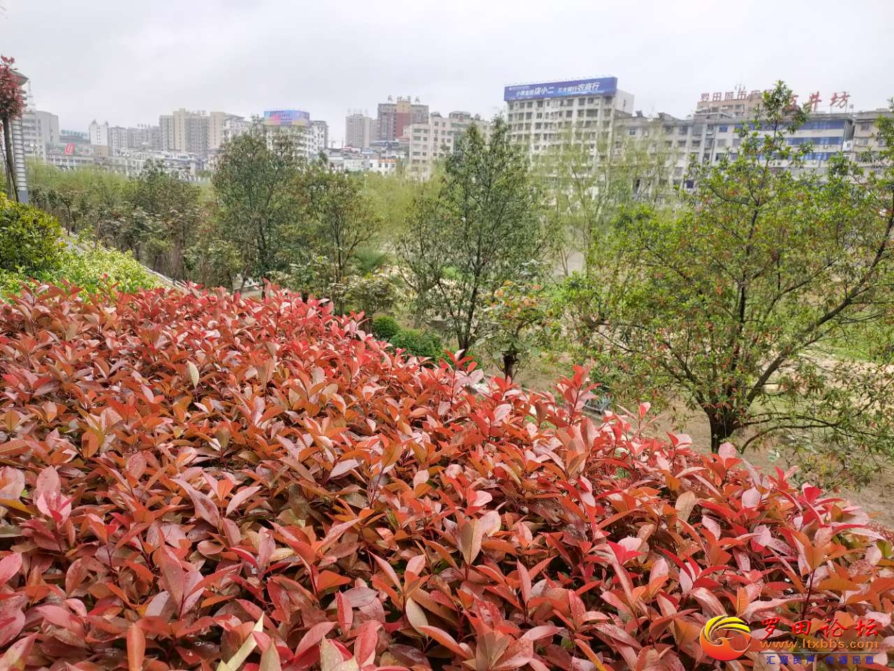 20210401_1160_1617275913368.jpg