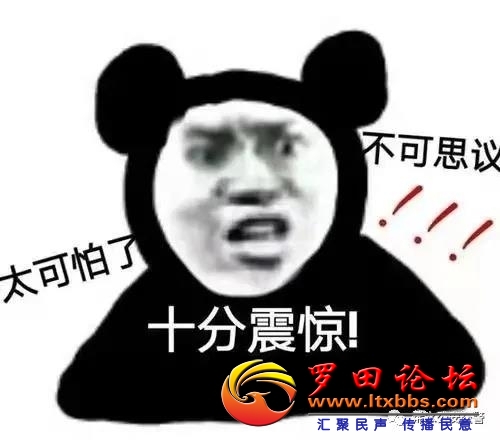 102124jg9rz6y99mgmdl4m.jpg