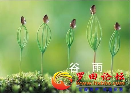 u=3746612159,2401150764&fm=26&gp=0.jpg