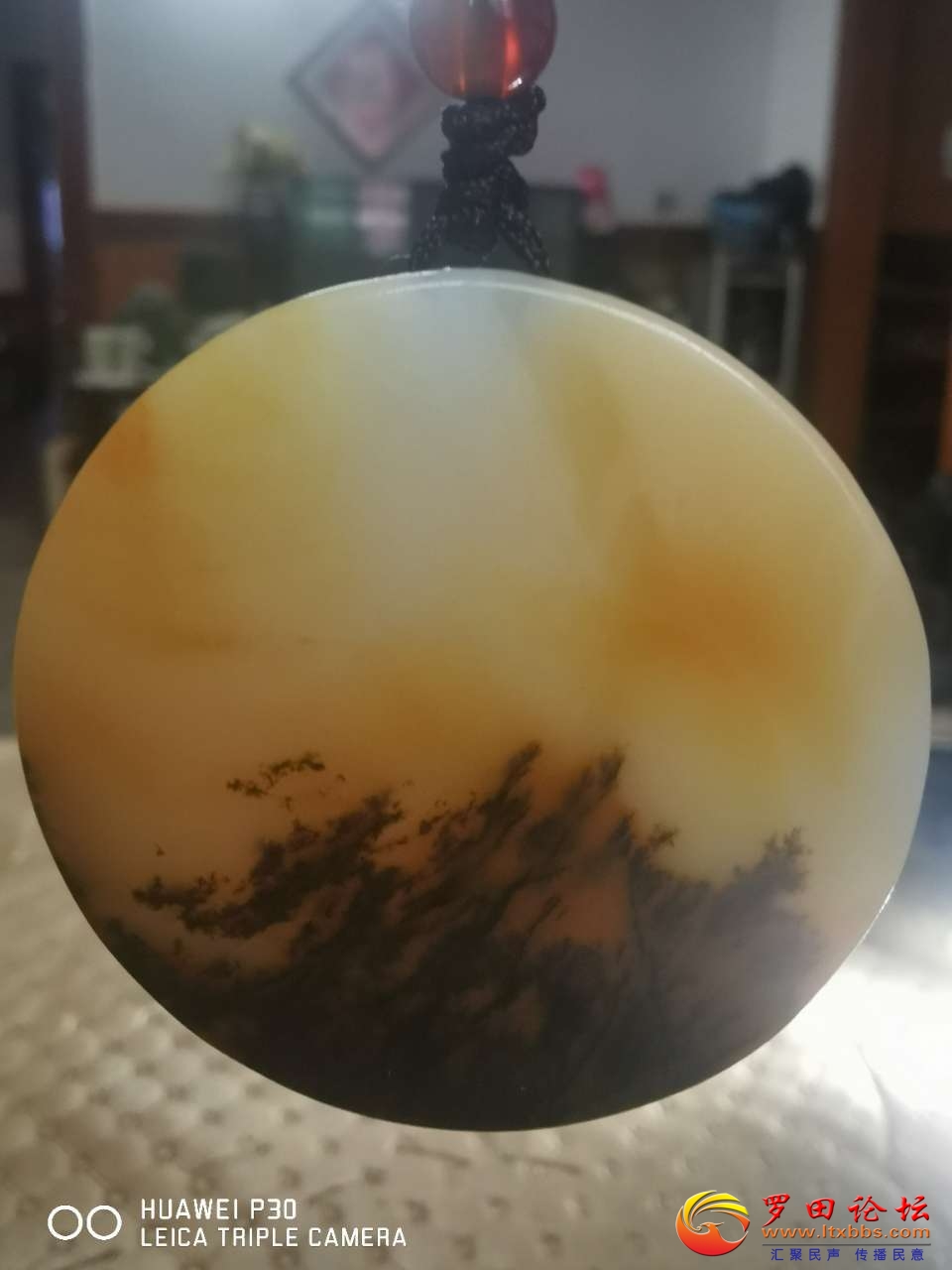 20210421_5669_1618964297130.jpg