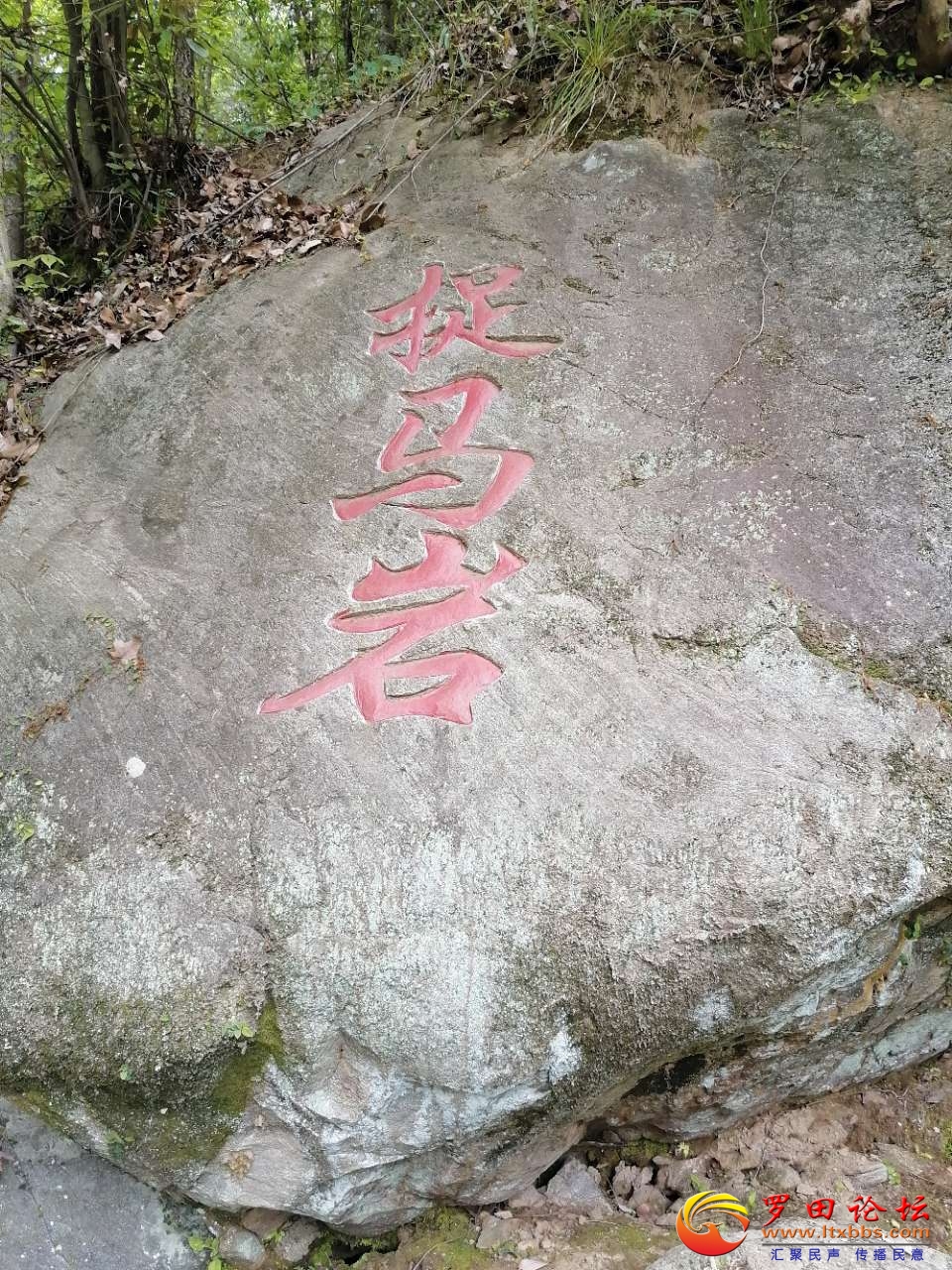 20210421_72737_1619010888946.jpg