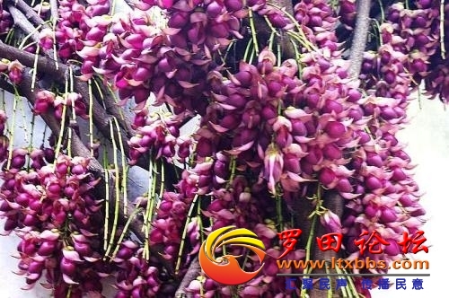 u=2205034948,1113192687&fm=26&gp=0.jpg